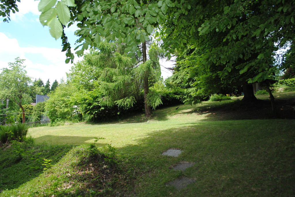 Panorama Hotel Pension Frohnau Bad Sachsa Habitación foto